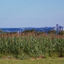 Vista a partir do templo: à esquerda a Ponte da Amizade; à direita, Ciudad del Este, Paraguai